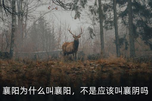 襄陽話怎么講,襄陽人為什么說河南話