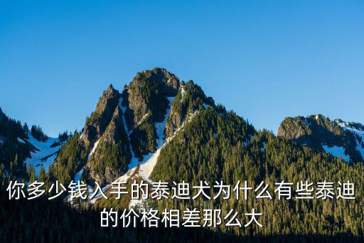秦皇島泰迪犬多少錢,你多少錢入手的泰迪犬