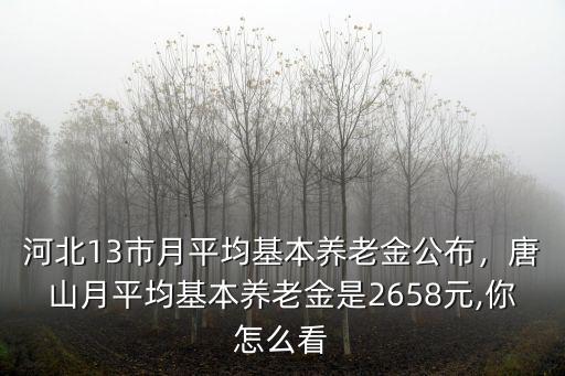 河北13市月平均基本養老金公布，唐山月平均基本養老金是2658元,你怎么看