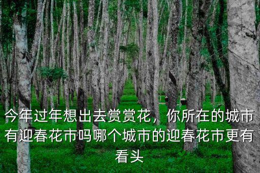 南充迎春花市在哪里,你所在的城市有迎春花市嗎