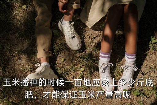 玉米底肥上多少復(fù)合肥,幾天能種玉米