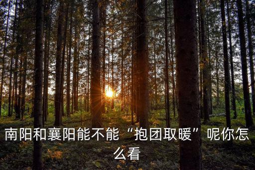 南陽和襄陽能不能“抱團取暖”呢你怎么看