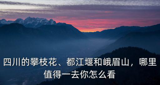 攀枝花哪里你懂的,四川的攀枝花