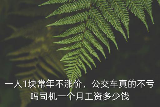 一人1塊常年不漲價，公交車真的不虧嗎司機一個月工資多少錢