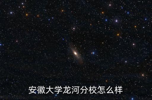 安徽大學龍河分校怎么樣