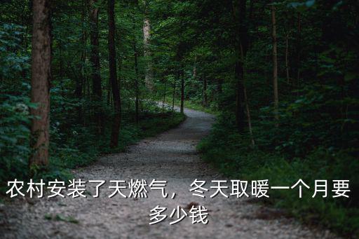 農村安裝了天燃氣，冬天取暖一個月要多少錢