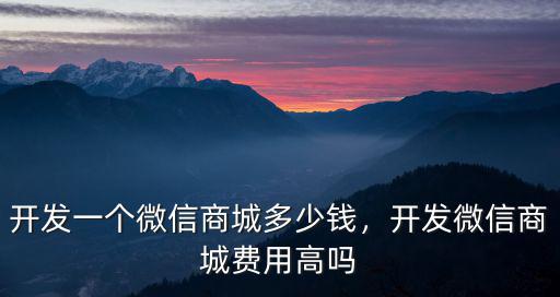 開發一個微信商城多少錢，開發微信商城費用高嗎