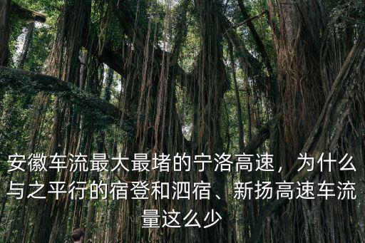 寧洛高速安徽限速多少,安徽車流最大最堵的寧洛高速