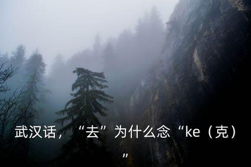 武漢話說字怎么念,武漢人究竟說的是什么話