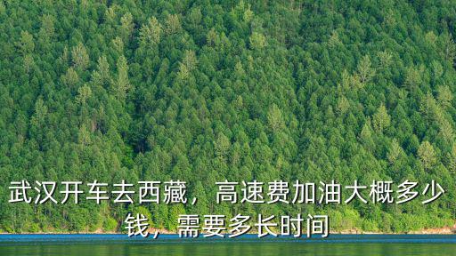 張家口開車到武漢費用多少錢,武漢開車去西藏