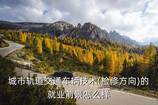 合肥軌道交通車輛檢修工月收入多少,城市軌道交通車輛技術