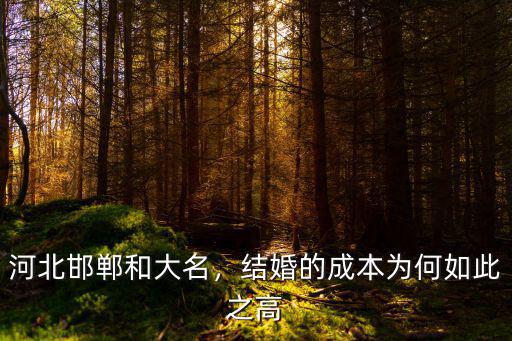 邯鄲大名彩禮多少,邯鄲大名娶媳婦彩禮多少錢