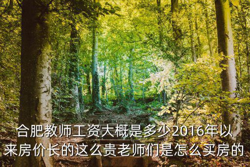 合肥做幼師工資大概多少錢,合肥教師工資大概是多少