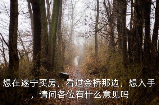 遂寧最低房價在哪里,想在遂寧買房