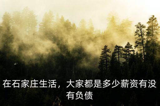 在石家莊生活，大家都是多少薪資有沒有負債