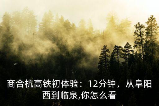 阜陽到臨泉縣高鐵票多少錢,從阜陽西到臨泉