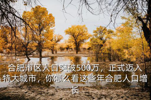 合肥市區人口突破500萬，正式邁入特大城市，你怎么看這些年合肥人口增長