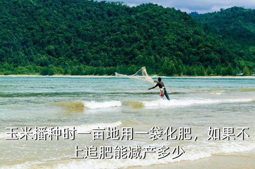 玉米播種時一畝地用一袋化肥，如果不上追肥能減產多少