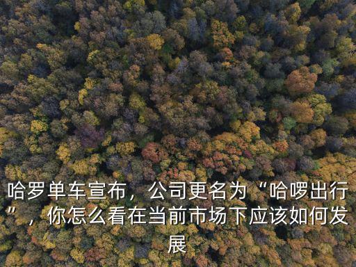 哈羅單車宣布，公司更名為“哈啰出行”，你怎么看在當前市場下應該如何發(fā)展