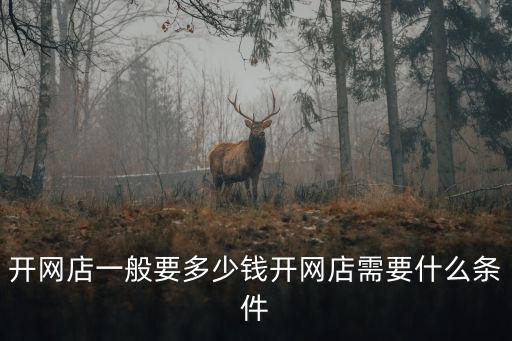 池州開網(wǎng)店要多少錢,開網(wǎng)店一般要多少錢
