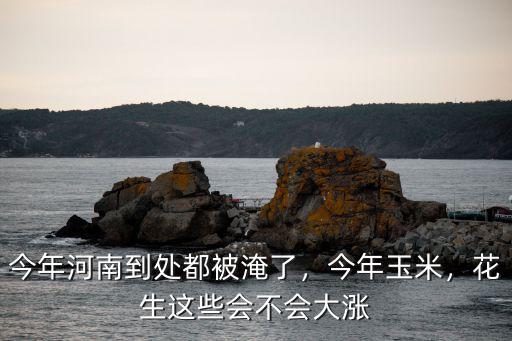河南玉米怎么樣了,河南玉米現價如何