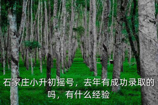 石家莊小升初有多少人,石家莊小升初搖號