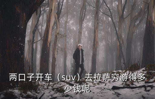 兩口子開車（suv）去拉薩窮游得多少錢呢