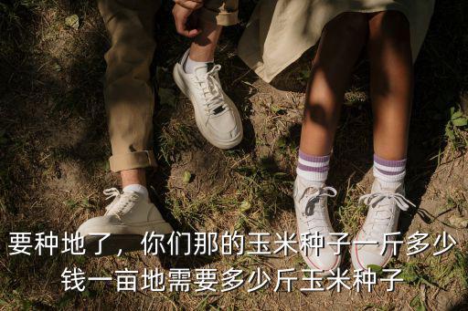 承德玉米種多少錢一斤,你們那的玉米種子一斤多少錢