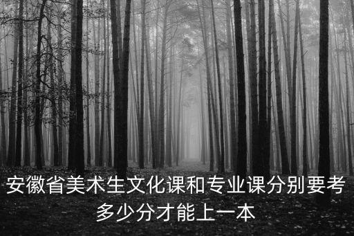 安徽美術統考多少分可以上本科,安徽美術統考成績272分