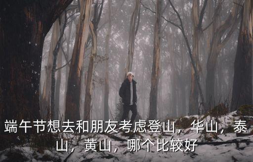 端午節(jié)想去和朋友考慮登山，華山，泰山，黃山，哪個(gè)比較好