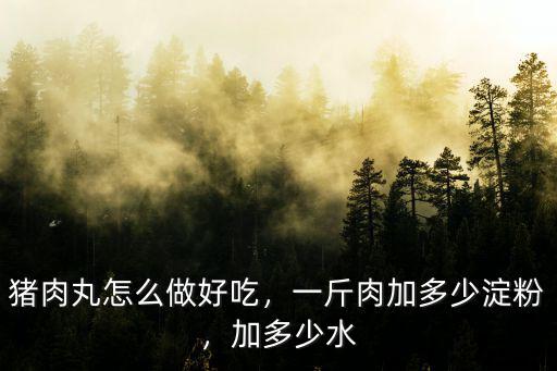 豬肉丸怎么做好吃，一斤肉加多少淀粉，加多少水