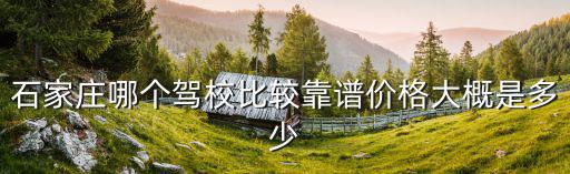石家莊大車駕校報名費多少錢,在石家莊考駕照需要多少錢