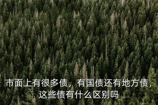 市面上有很多債，有國債還有地方債，這些債有什么區(qū)別嗎