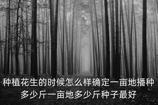 種植花生的時候怎么樣確定一畝地播種多少斤一畝地多少斤種子最好
