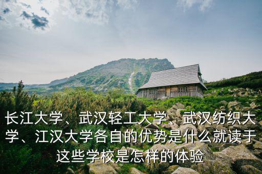 武漢紡織大學(xué)美術(shù)設(shè)計(jì)怎么樣,武漢紡織大學(xué)