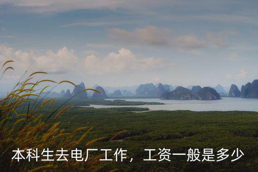 本科生去電廠工作，工資一般是多少