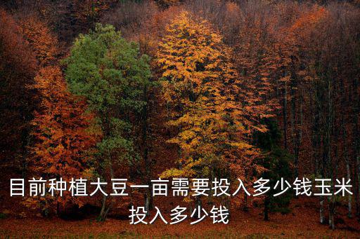目前種植大豆一畝需要投入多少錢玉米投入多少錢