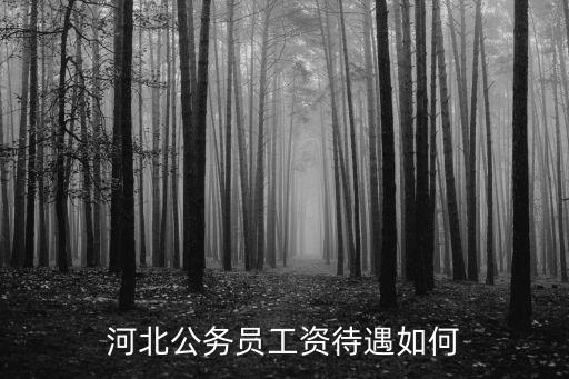 河北公務員車補多少錢,河北邯鄲市公務員待遇怎么樣