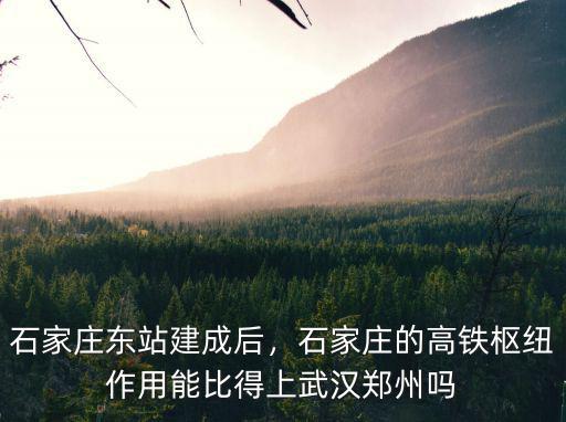 石家莊東站大概開行多少對車,石家莊東站建成后