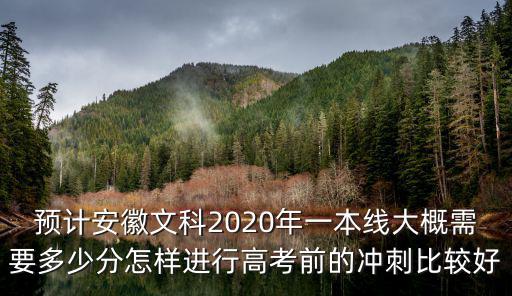 安徽去年文科一本要考多少分,安徽文科生多少分能上985