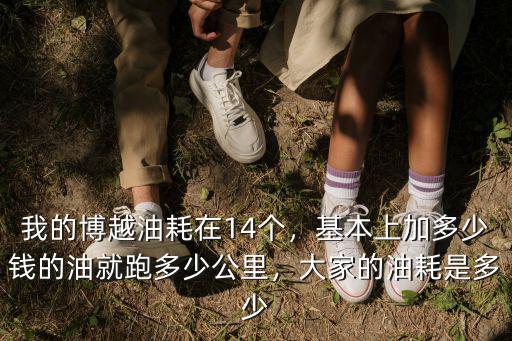 我的博越油耗在14個，基本上加多少錢的油就跑多少公里，大家的油耗是多少