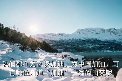 知乎為武漢加油頭像怎么換,中國女籃用行動為武漢加油