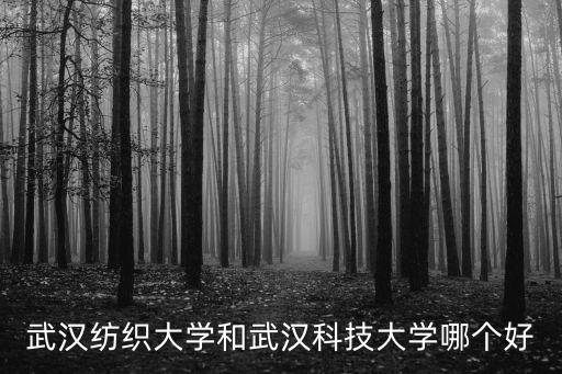 武漢紡織大學(xué)怎么樣是一本嗎,武漢紡織大學(xué)怎么樣