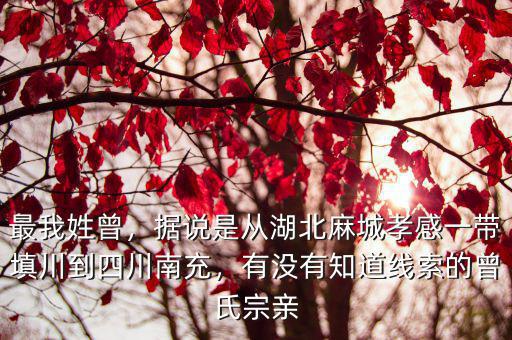 姓龍的祖先是從哪里來(lái)四川的,有沒有知道線索的曾氏宗親
