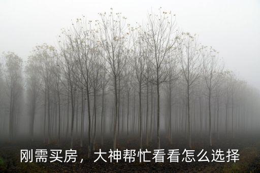恩施剛需買房該怎么選擇,買房的剛需和投資該如何選擇