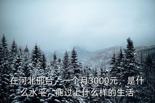 在河北邢臺，一個月3000元，是什么水平，能過上什么樣的生活