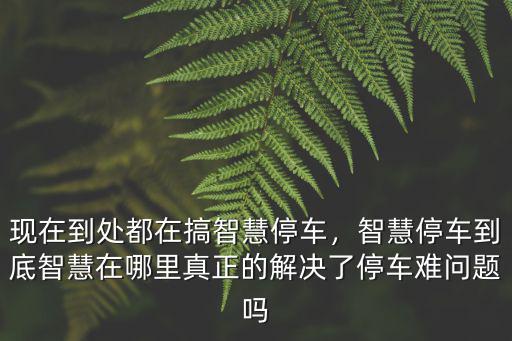 現在到處都在搞智慧停車，智慧停車到底智慧在哪里真正的解決了停車難問題嗎