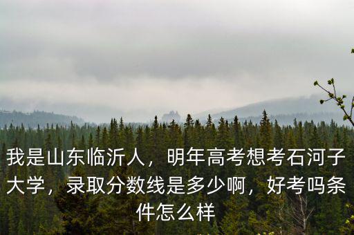 石河子大學河北省分數線是多少,錄取分數線是多少啊