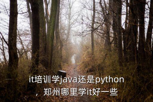 it培訓學java還是python，鄭州哪里學it好一些