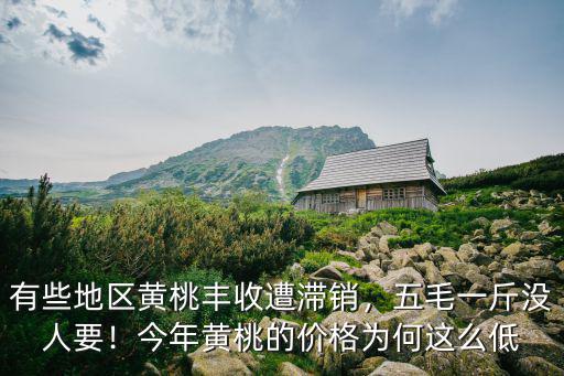 鄭州開封黃桃多少錢一斤,黃桃的價格現在多少錢一斤